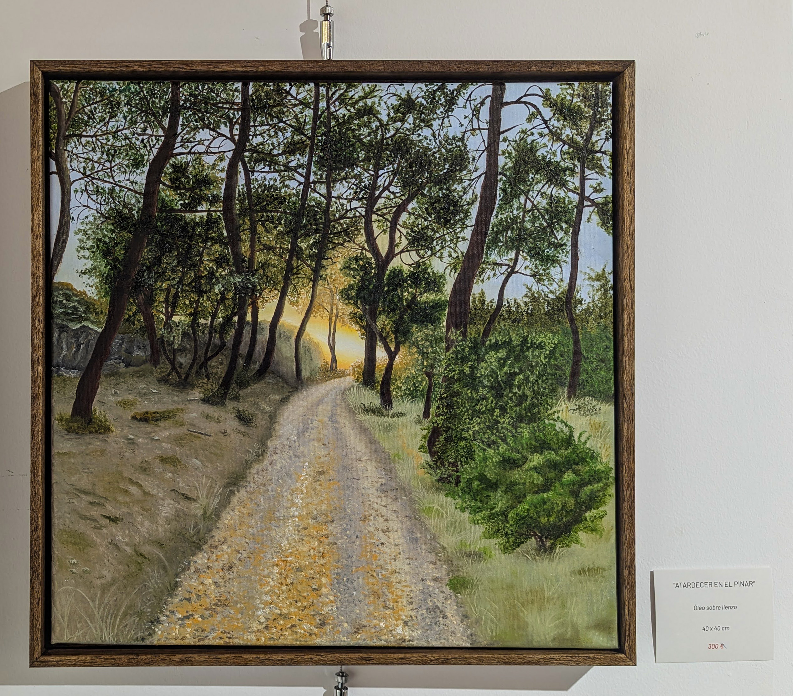 Atardecer en el pinar