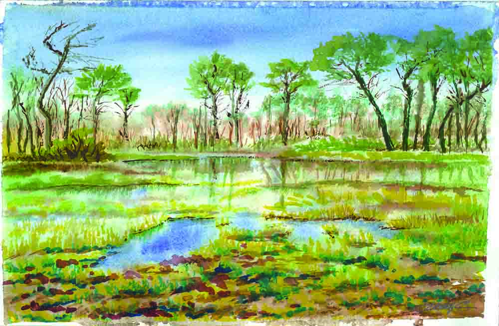 Presentación del Calendario de Alcolea