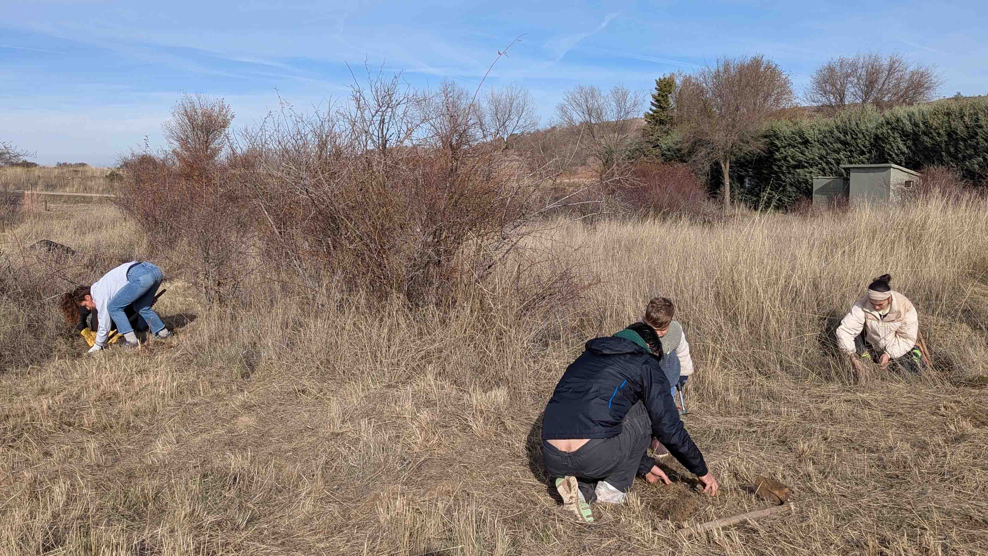 Renaturalización Parque Forestal La Dehesa