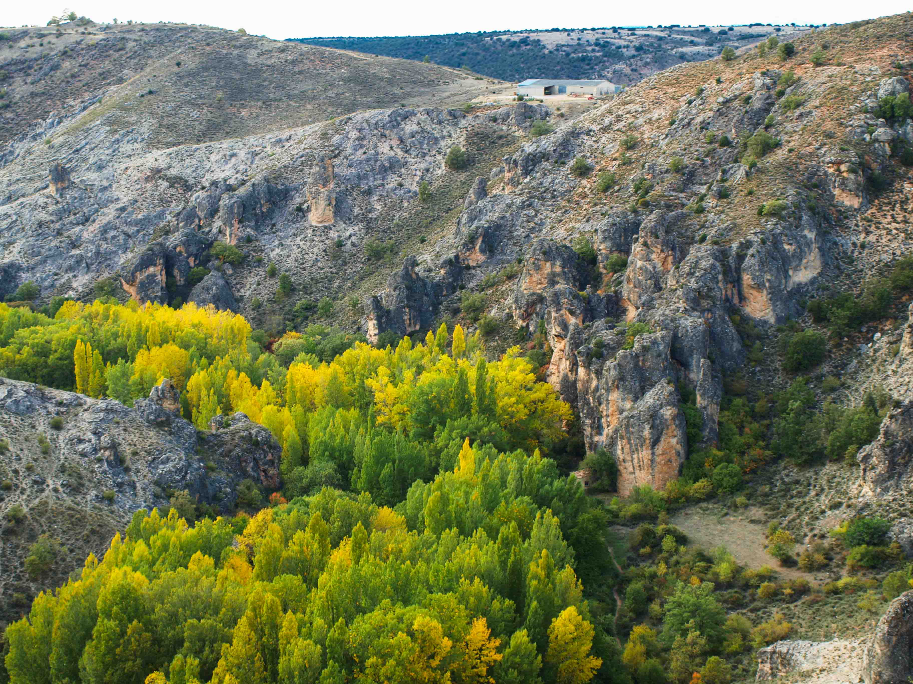 Parque Natural del Barranco del Río Dulce